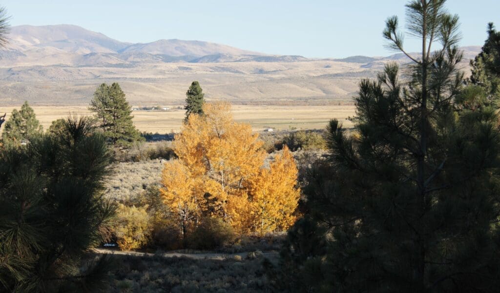 Fall foliage by Luther Creek